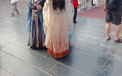 无码骚夜夜精品